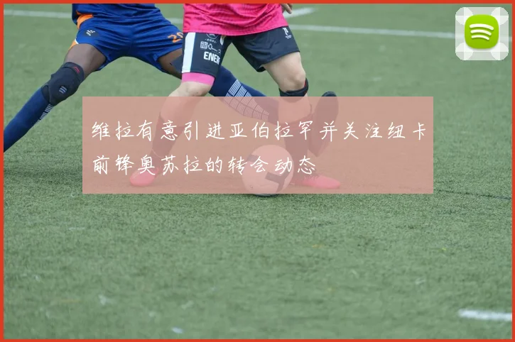维拉有意引进亚伯拉罕并关注纽卡前锋奥苏拉的转会动态